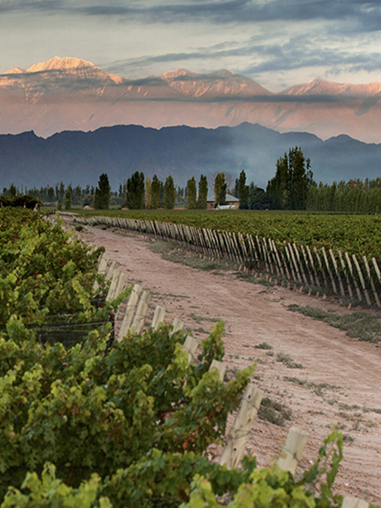 Rutas del Mes - Bebiendo Placeres