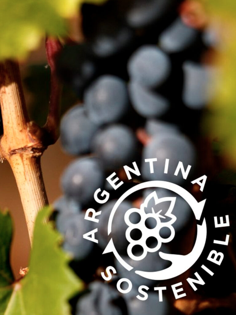 Vinos sustentables y bodegas orgánicas de Argentina
