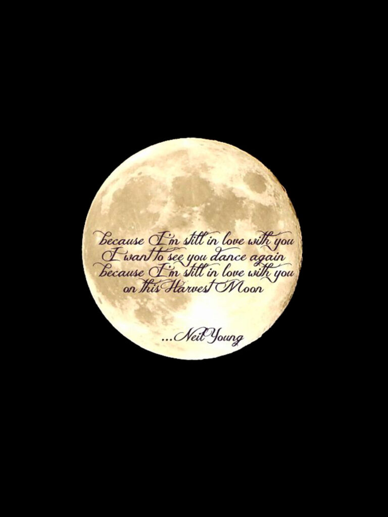 Neil Young Harvest Moon cultura vino