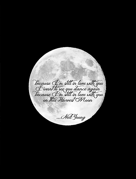 Harvest Moon - Niel Young