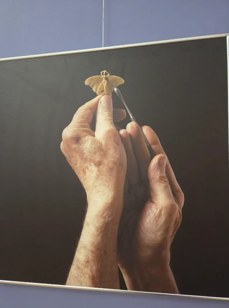 Antonio Pujía En Simple El Atelier