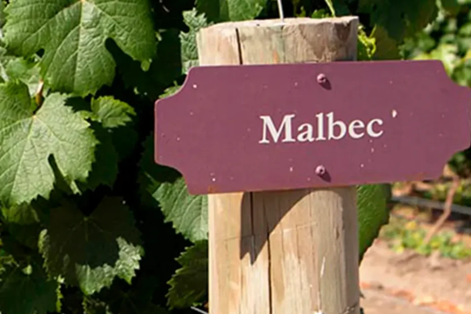 Argentina - Marca Malbec