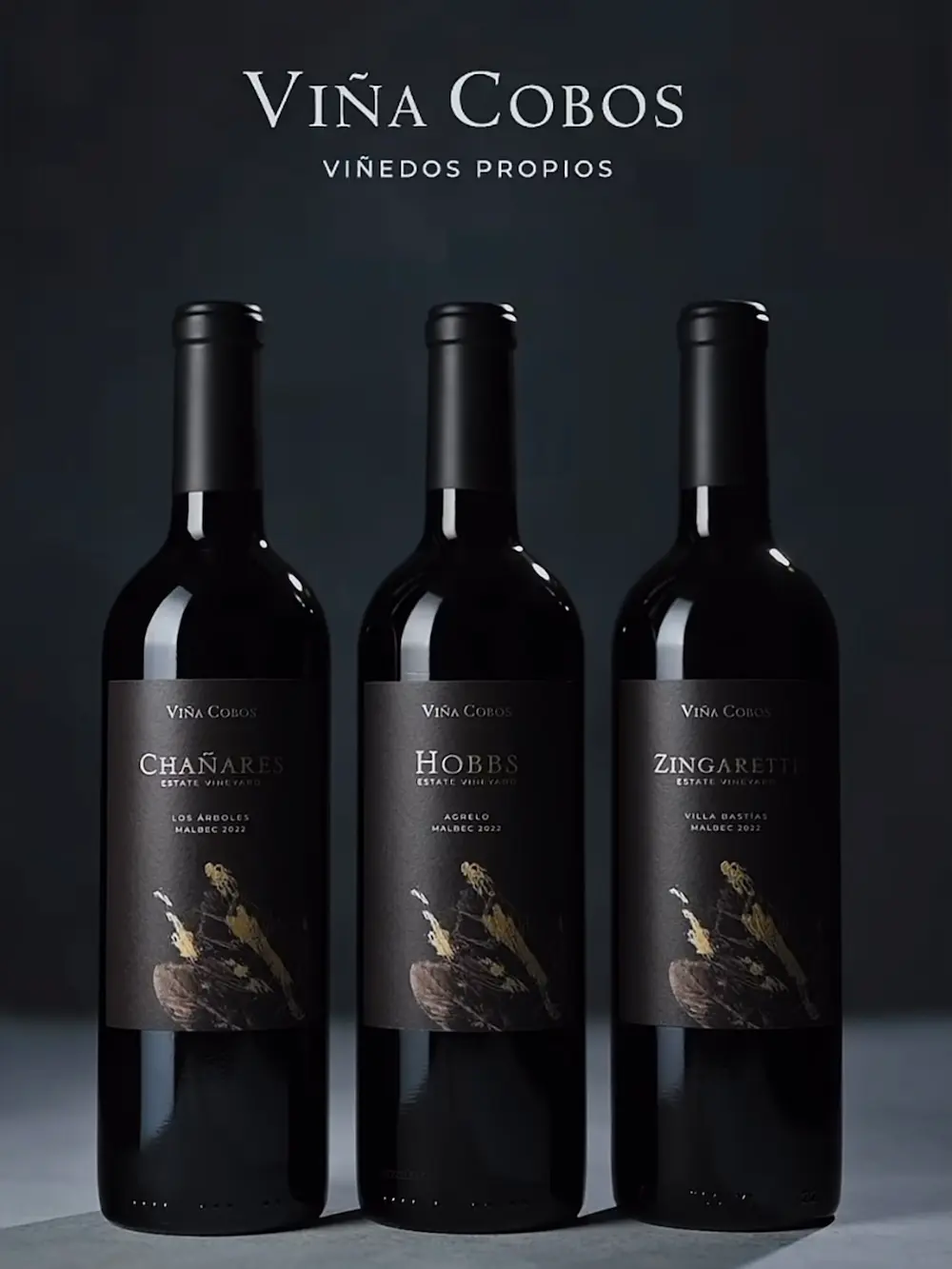 Viña Cobos 2022 - VIÑEDOS PROPIOS