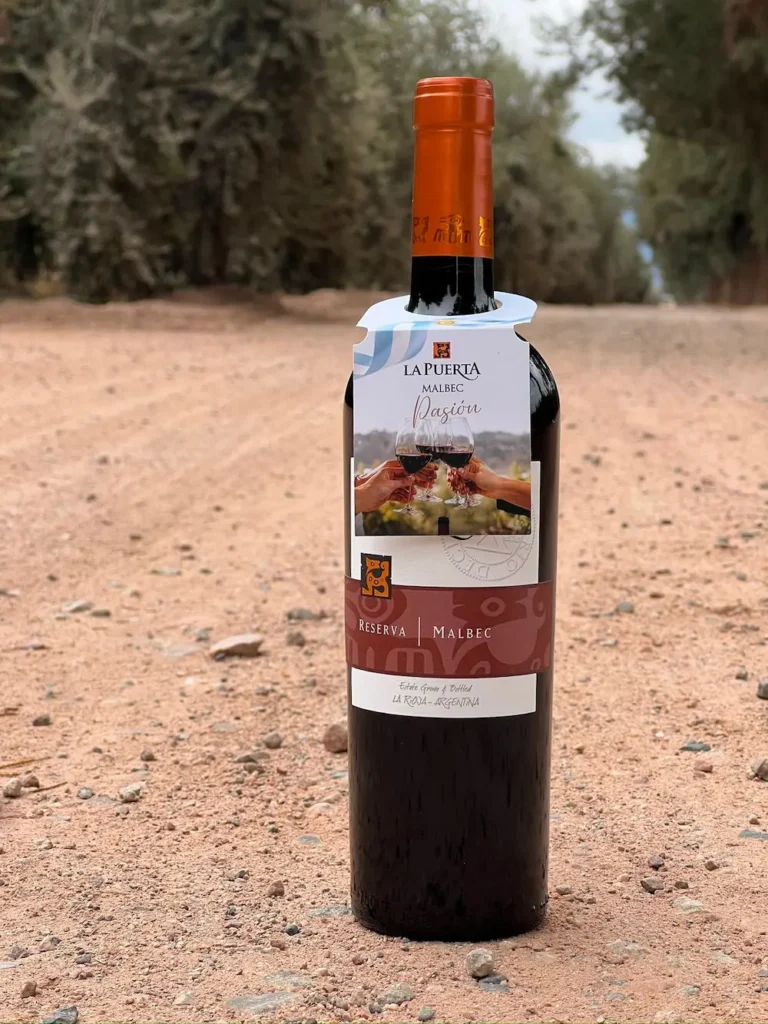 Valle de la Puerta Malbec Mundial