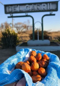 Saladillo celebra sus 163 años - Bebiendo Placeres