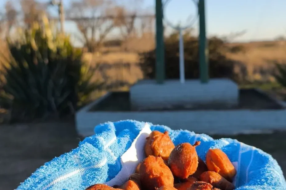 Saladillo celebra sus 163 años - Bebiendo Placeres